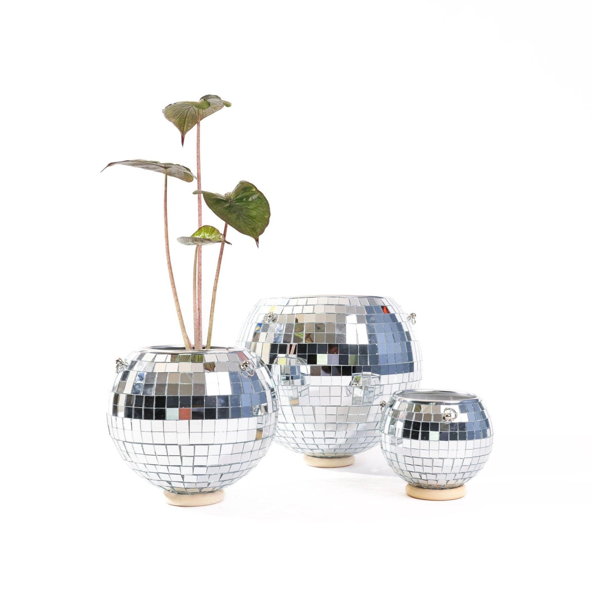 Hanging Disco Ball Planter - Green Fresh Florals + Plants