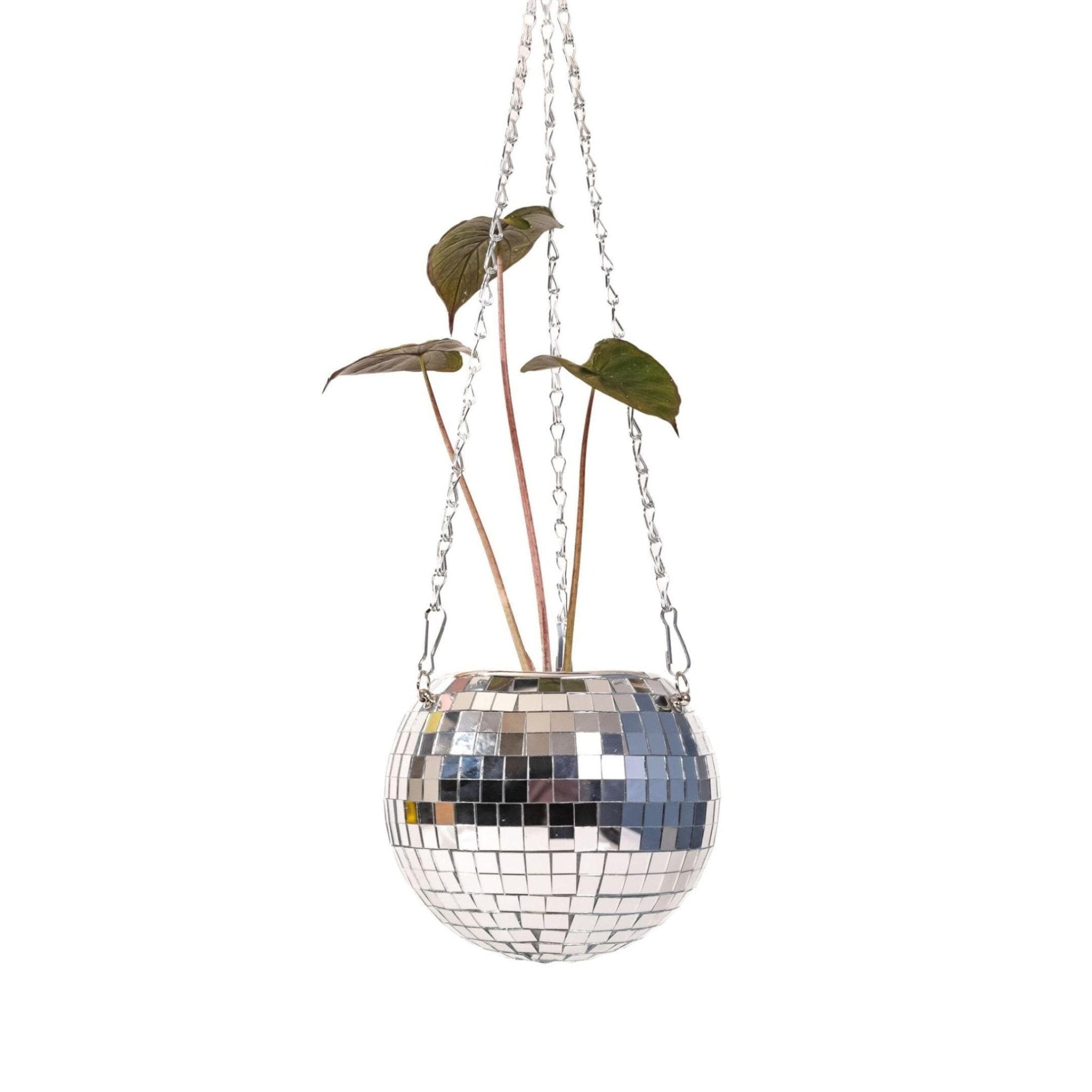 Hanging Disco Ball Planter - Green Fresh Florals + Plants