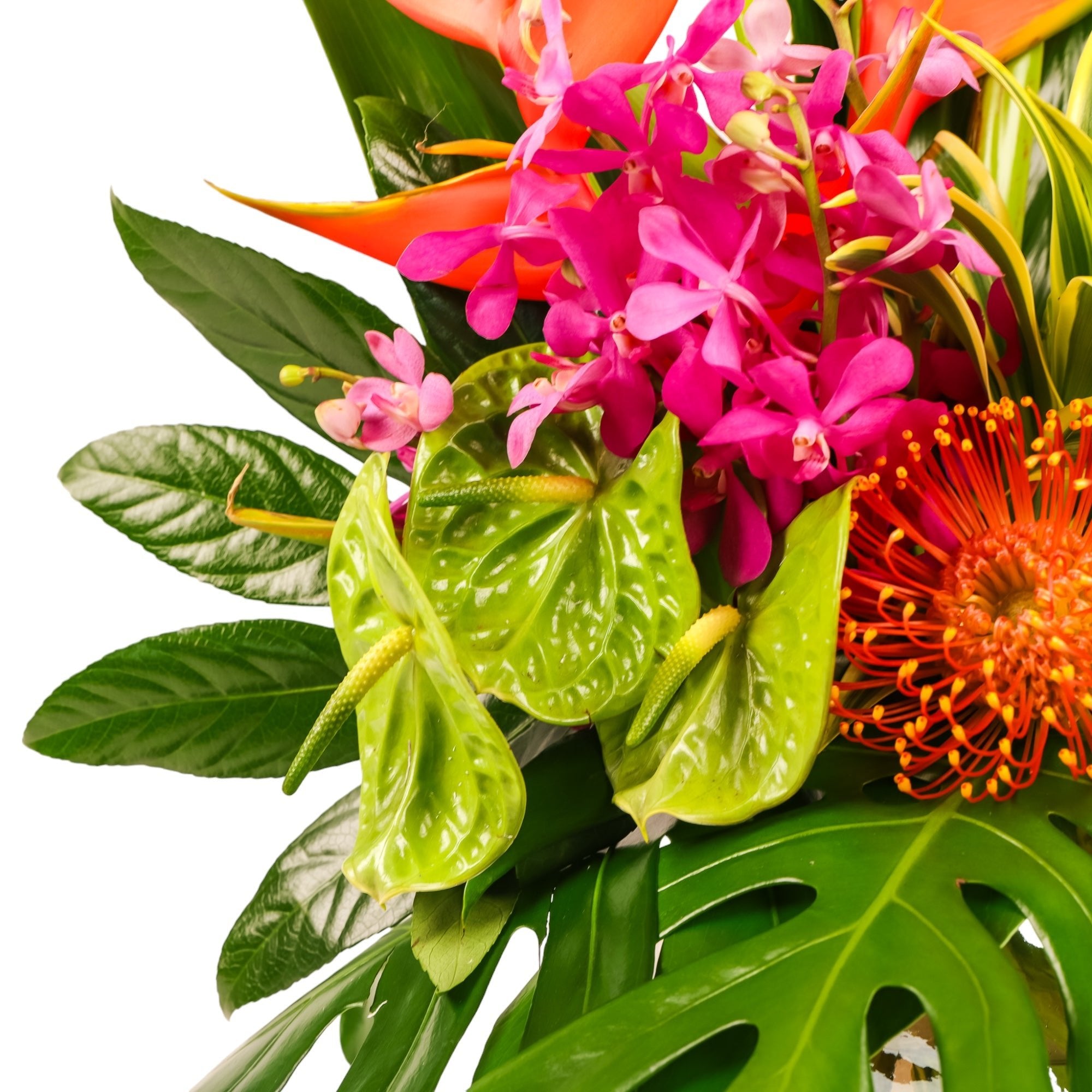 Hilo Beauty Designer Floral - Green Fresh Florals + Plants