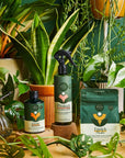 Houseplant Care Taster Kit - Green Fresh Florals + Plants