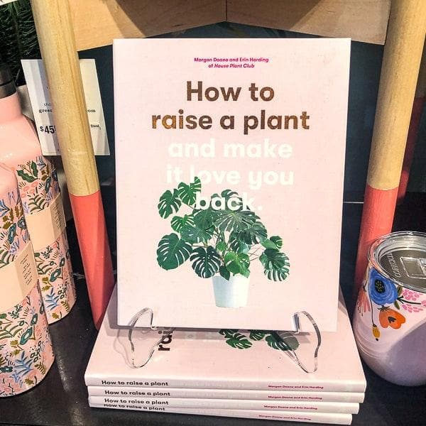 How to Raise a Plant and Make It Love You Back - Green Fresh Florals + Plants