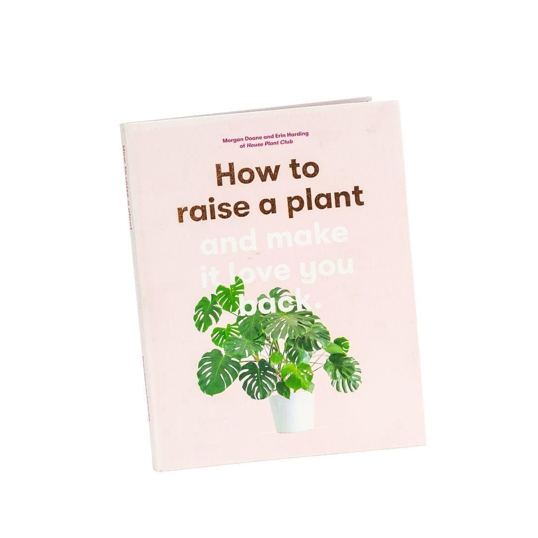 How to Raise a Plant and Make It Love You Back - Green Fresh Florals + Plants