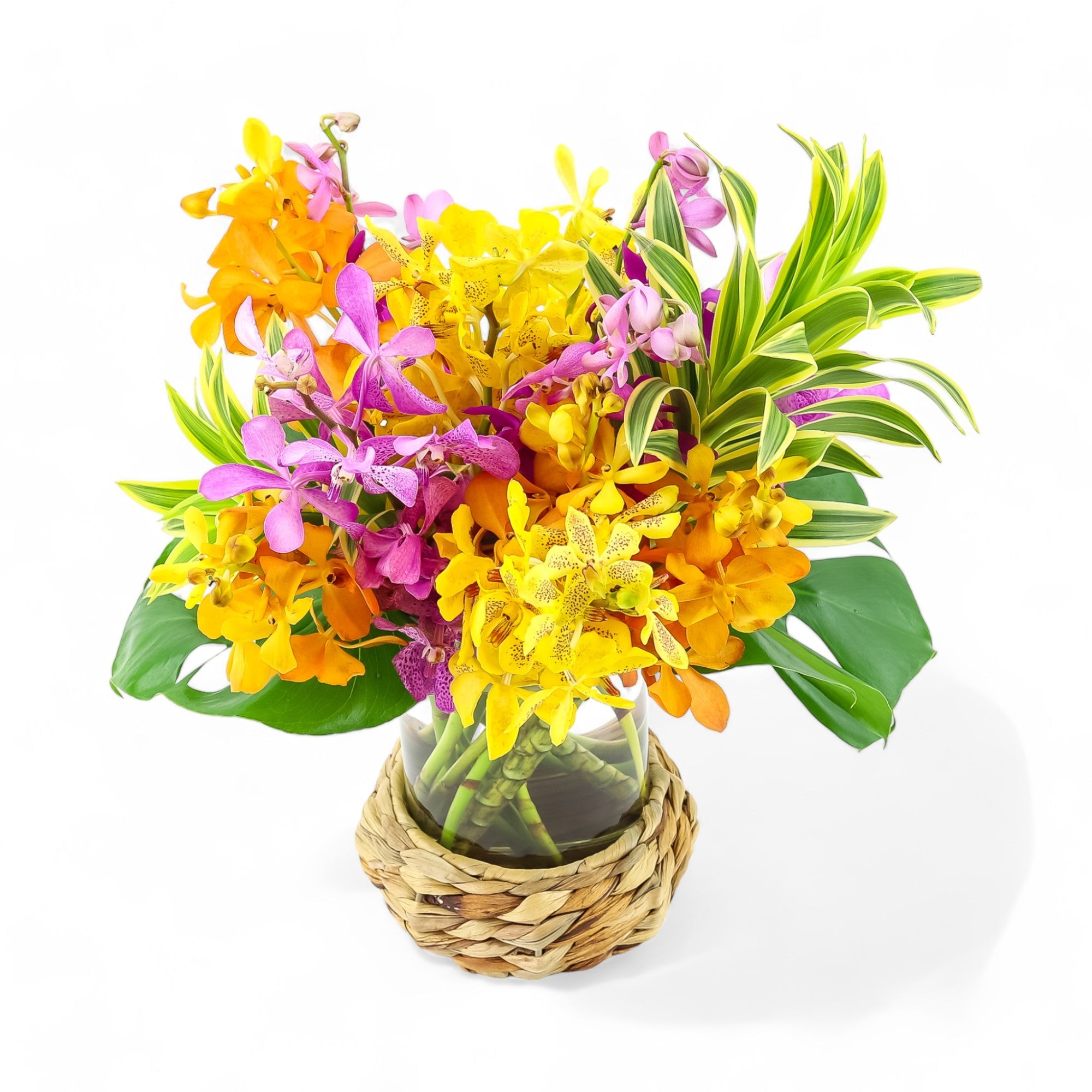 Island Orchid Floral - Green Fresh Florals + Plants