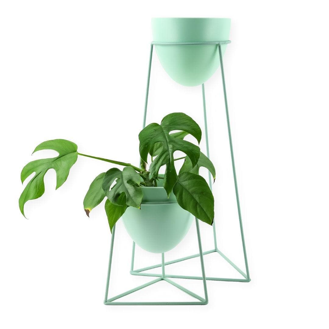 Kelly Plant Stand - Green Fresh Florals + Plants