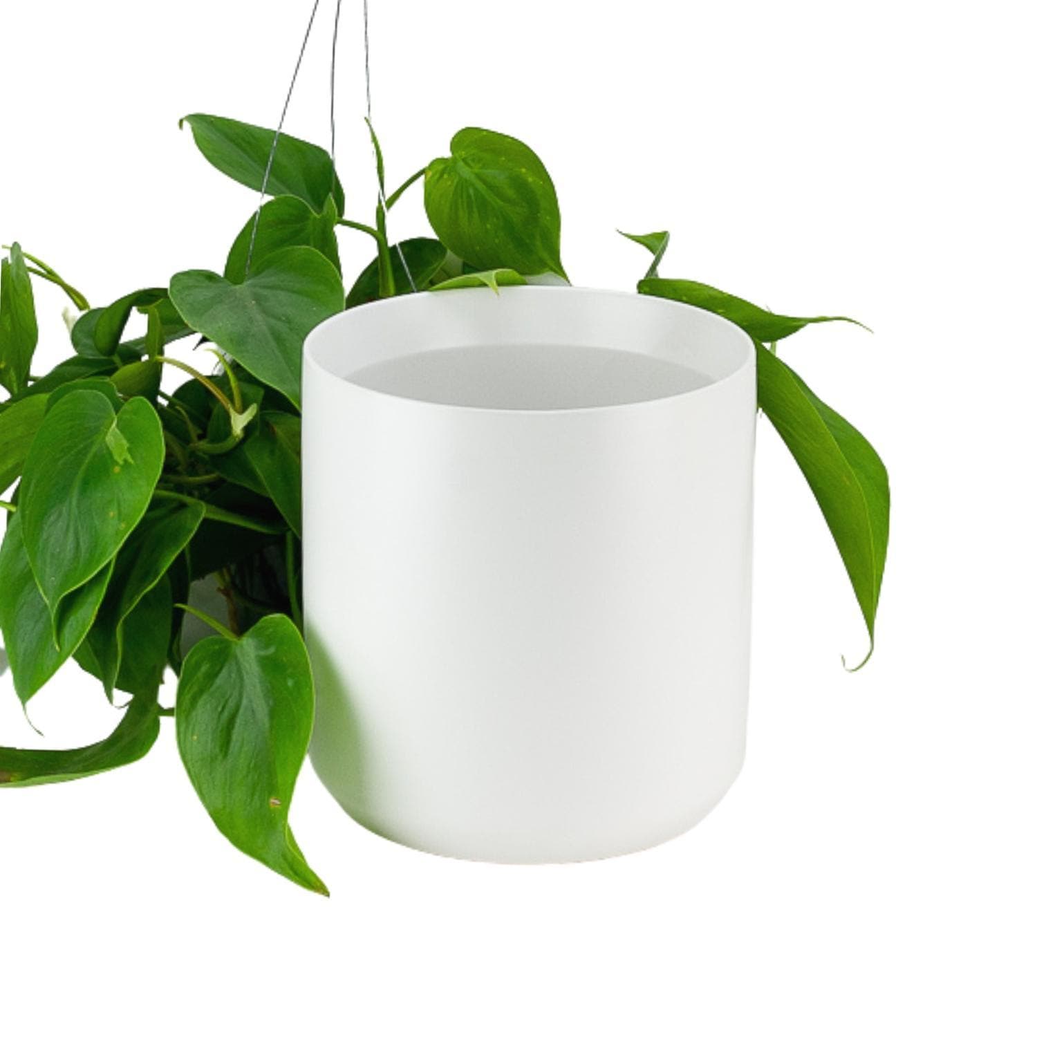 Kendall Ceramic Pot Collection - Green Fresh Florals + Plants