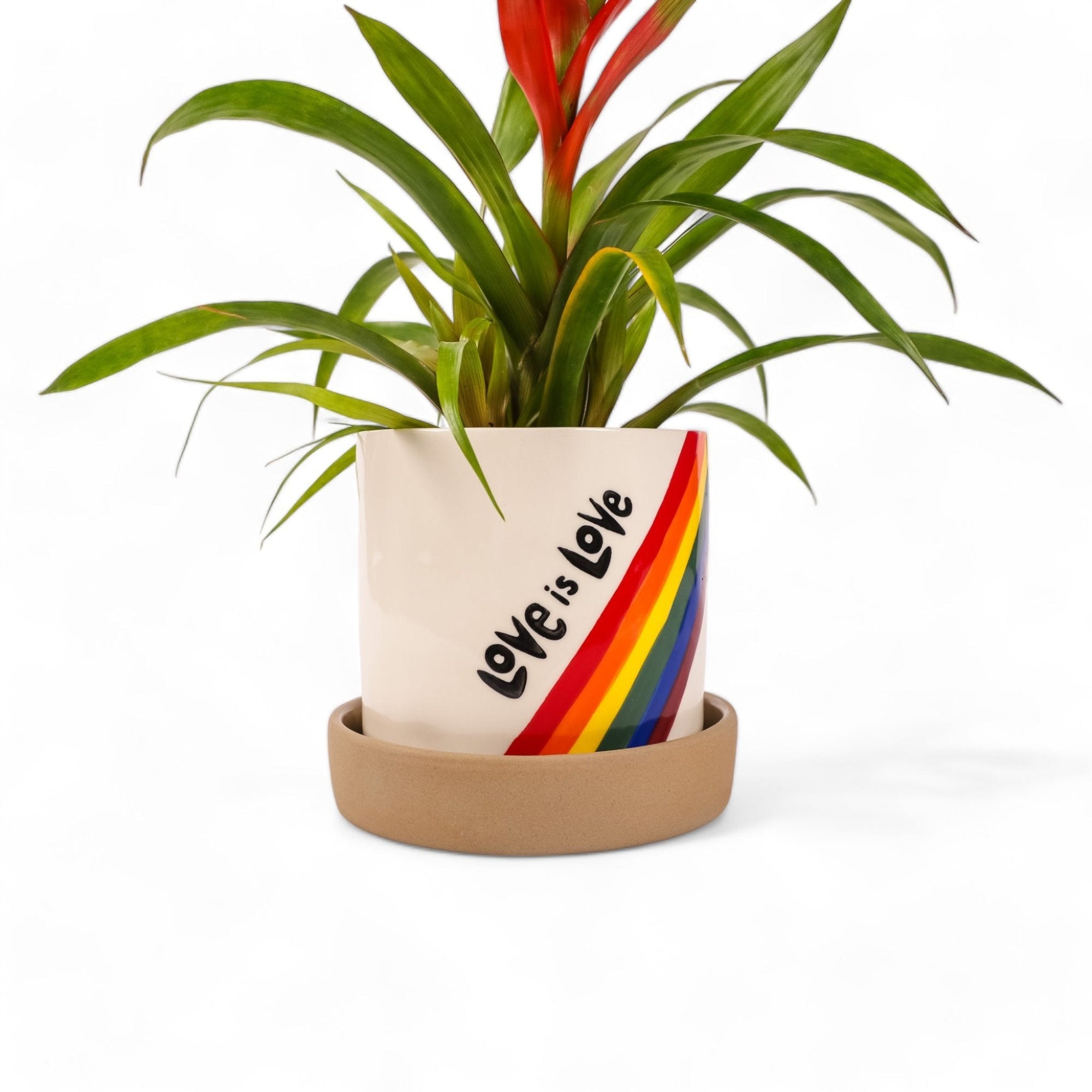 Love is Love Pot - Green Fresh Florals + Plants