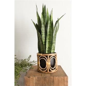 Mediterranean Boca Pot - Green Fresh Florals + Plants