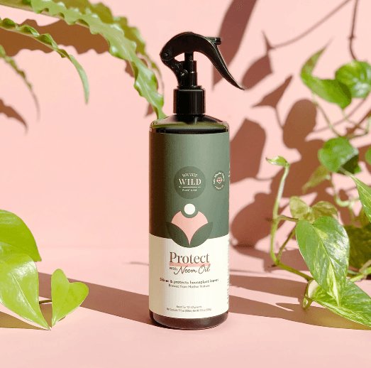 Neem Oil Protect Spray - Green Fresh Florals + Plants