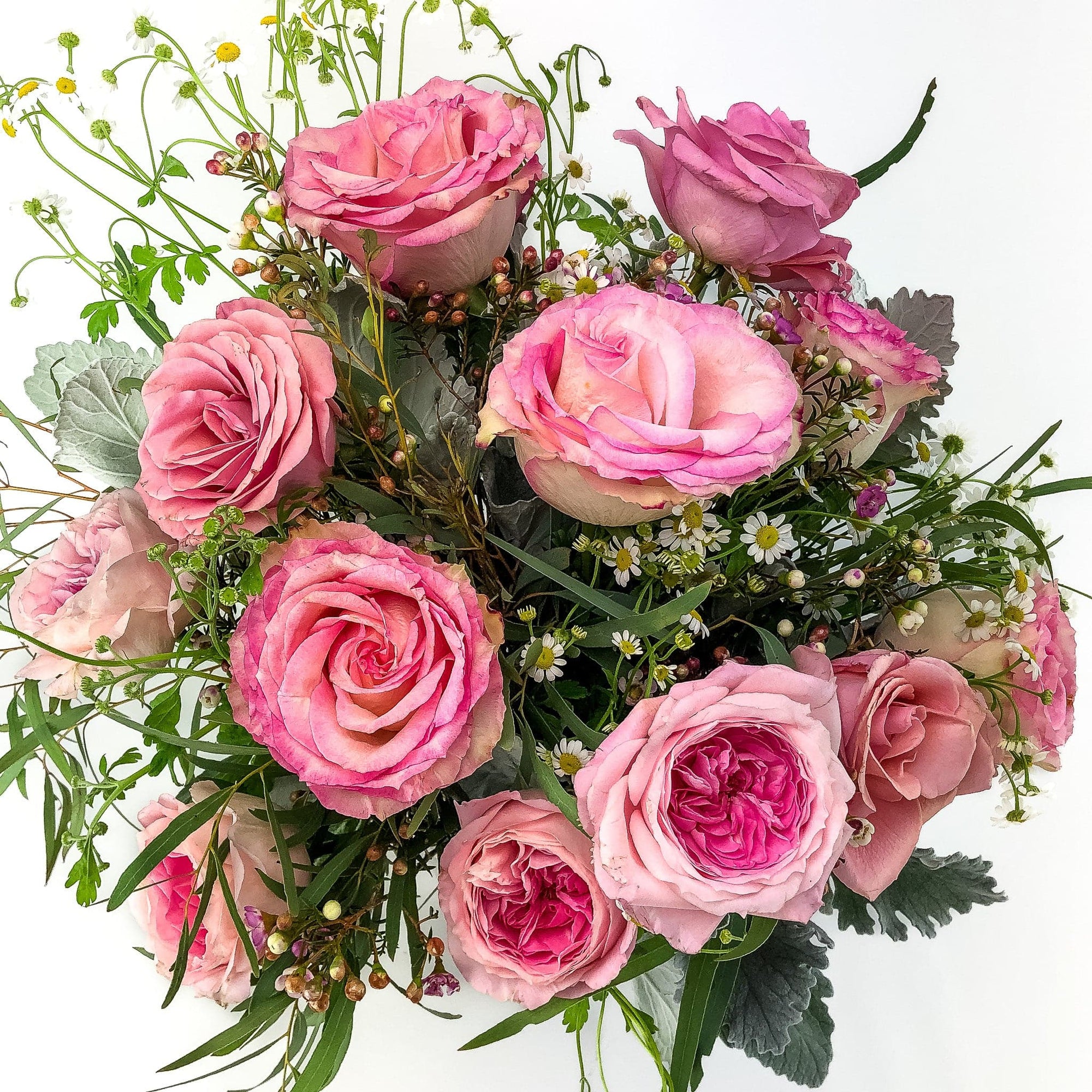 Pink Long-Stem Roses - Green Fresh Florals + Plants