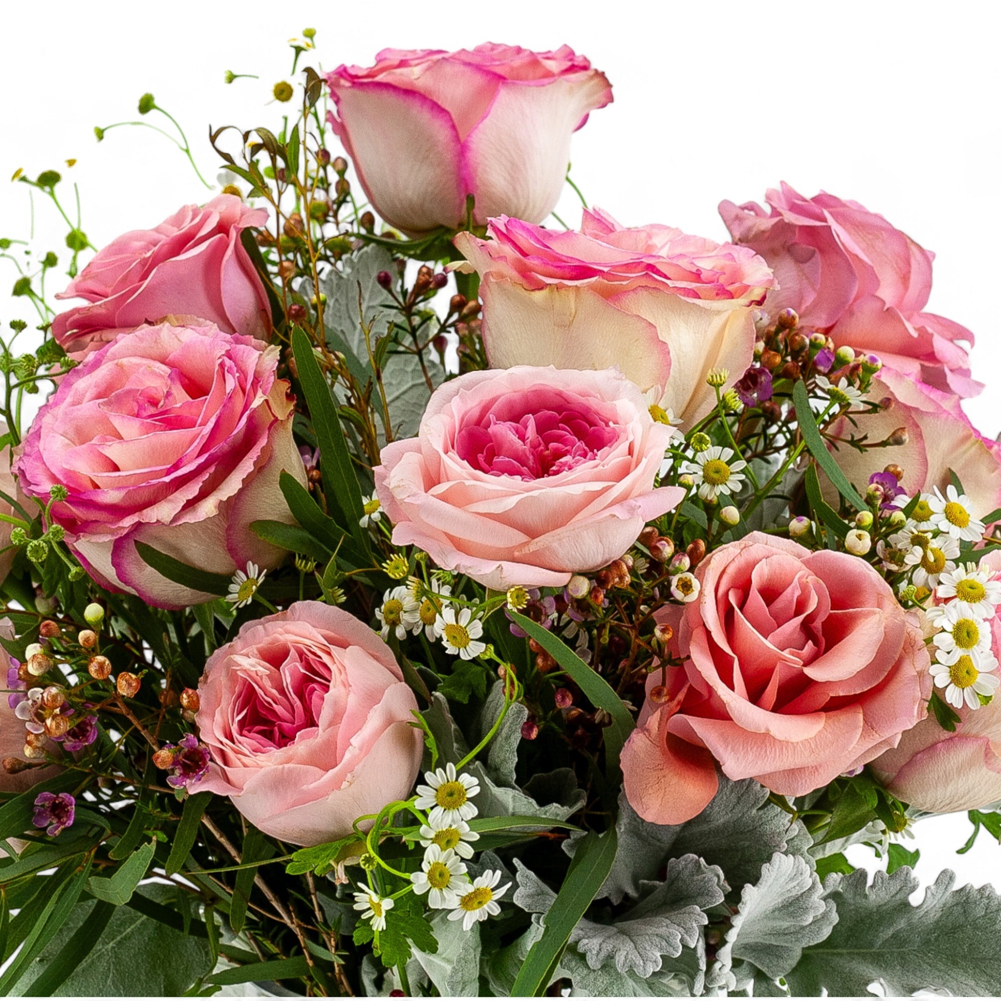 Pink Long - Stem Roses - Green Fresh Florals + Plants