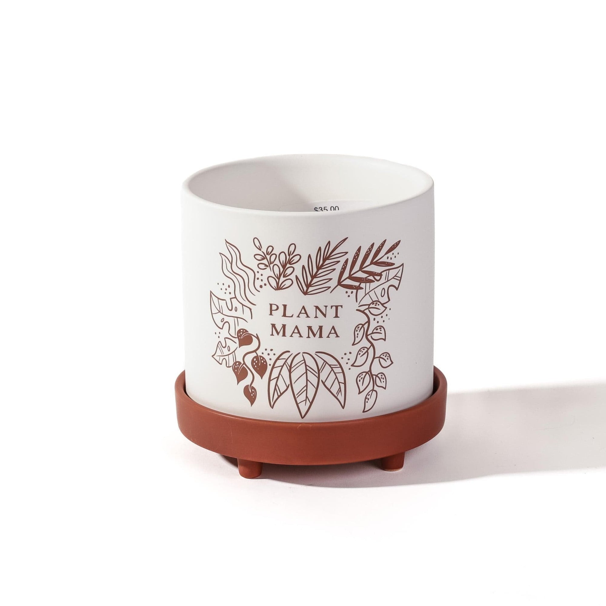 Plant Mama Ceramic Pot - Green Fresh Florals + Plants