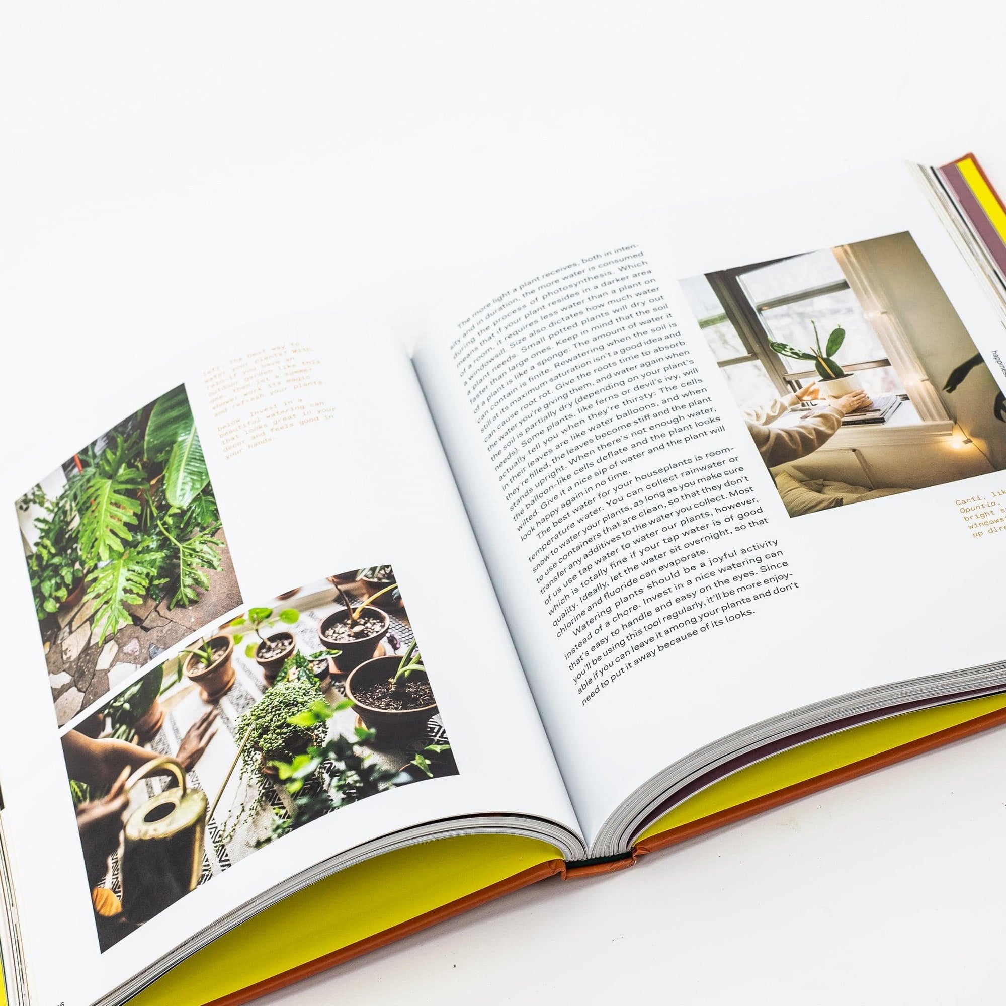 Plant Tribe Book : Living Happily Ever After With Plants - Green Fresh Florals + Plants