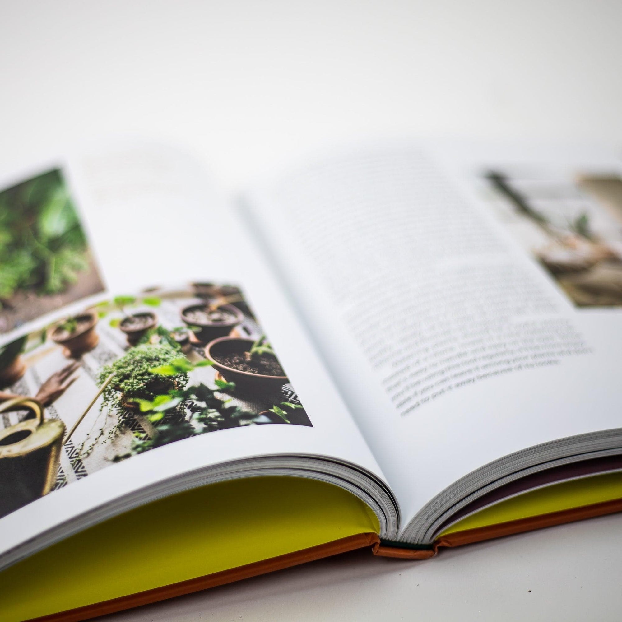 Plant Tribe Book : Living Happily Ever After With Plants - Green Fresh Florals + Plants