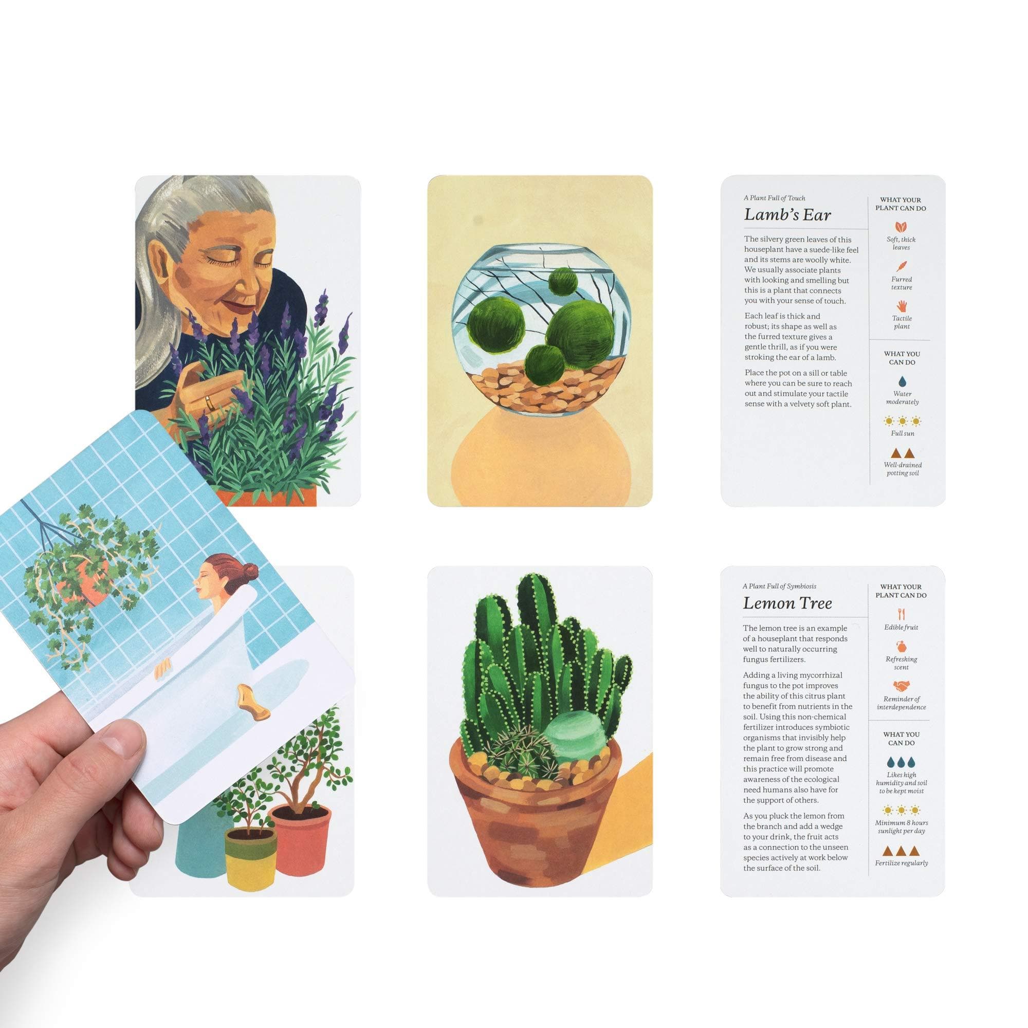 Plantfulness Card Deck - Green Fresh Florals + Plants