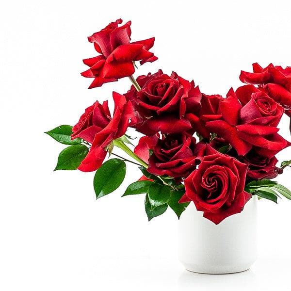 Red Rose Romance Floral - Green Fresh Florals + Plants