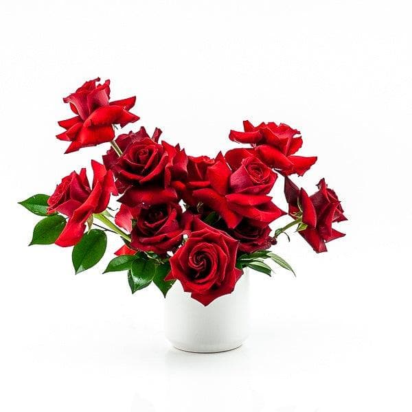 Red Rose Romance Floral - Green Fresh Florals + Plants