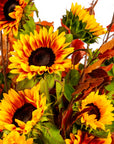 Sunflower Harvest Designer Floral - Green Fresh Florals + Plants