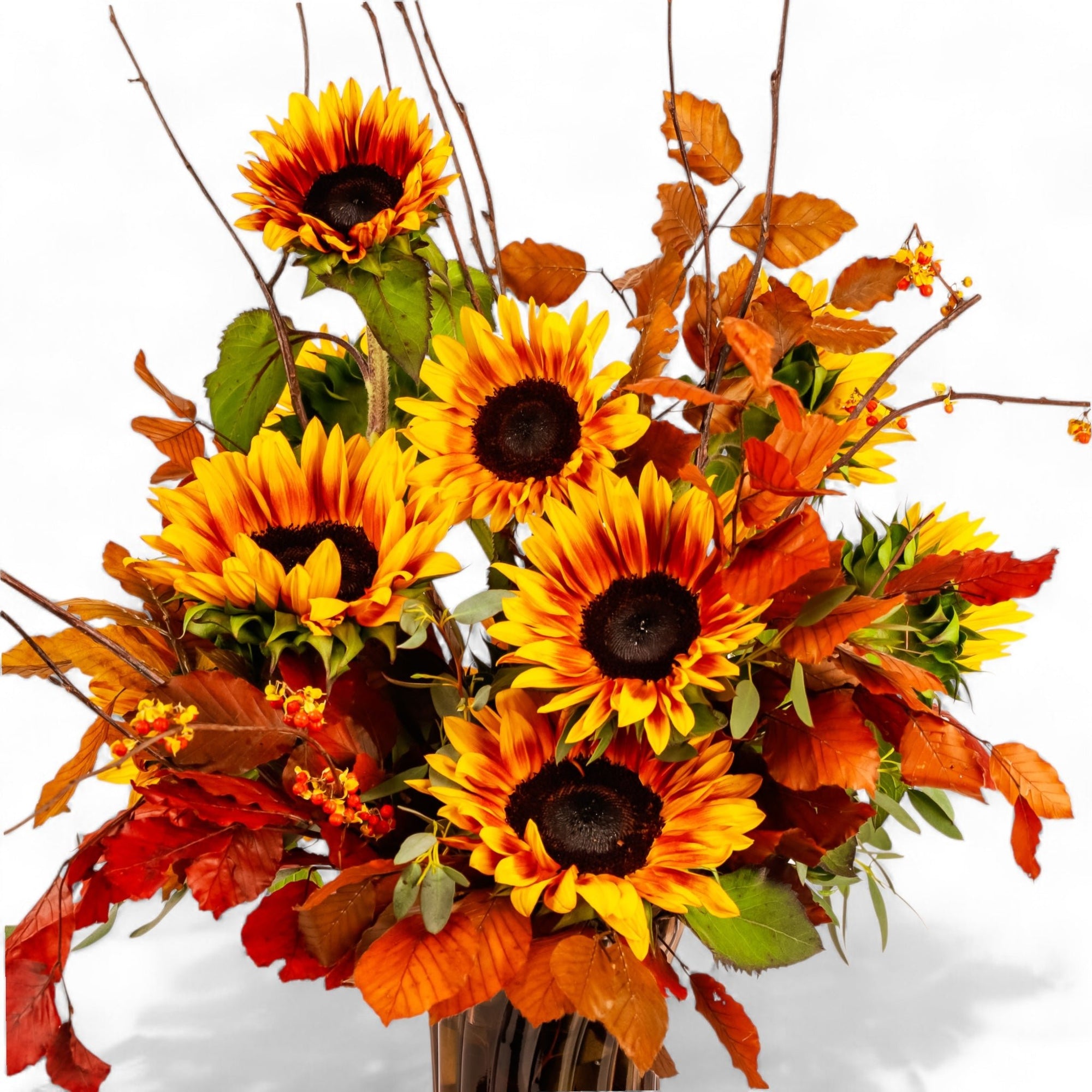 Sunflower Harvest Designer Floral - Green Fresh Florals + Plants