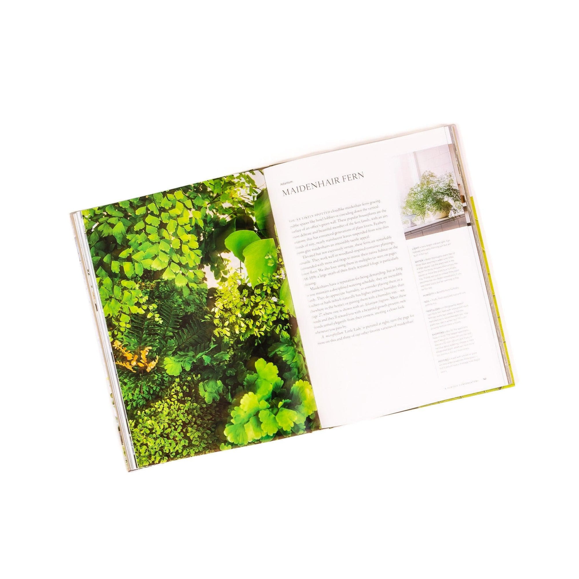 Terrain: The Houseplant Book - Green Fresh Florals + Plants