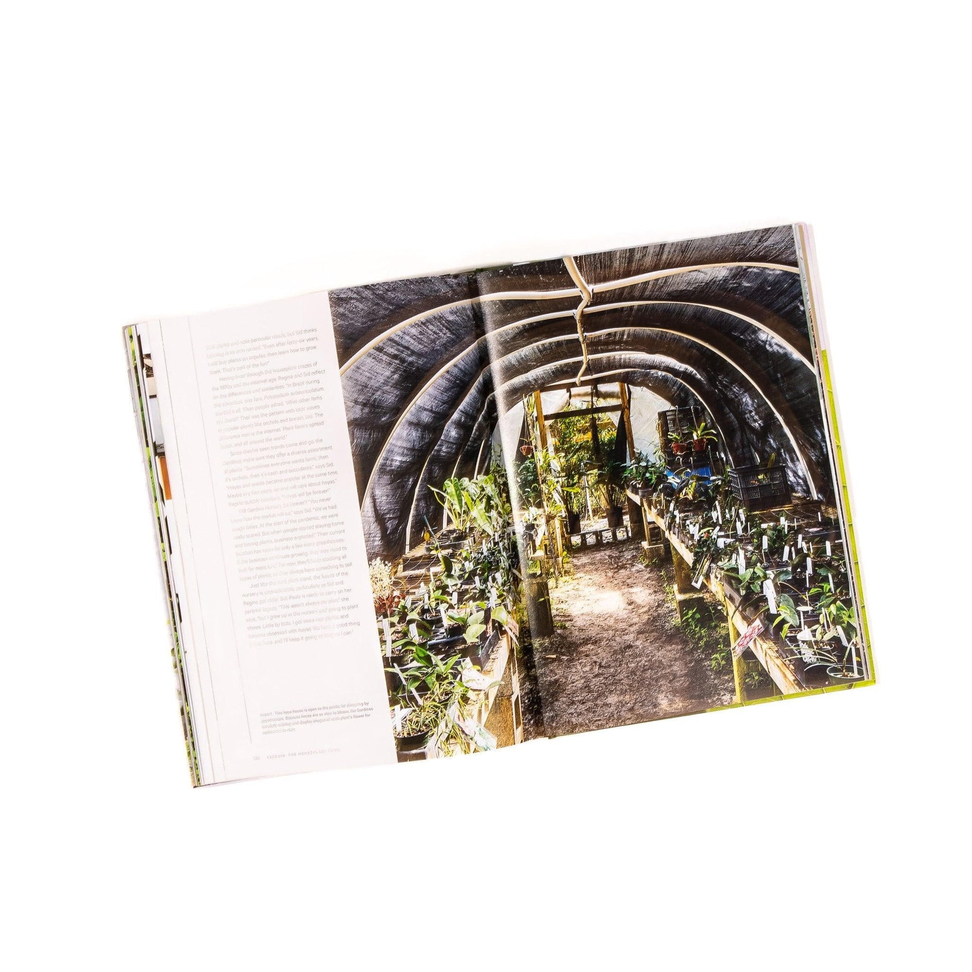 Terrain: The Houseplant Book - Green Fresh Florals + Plants