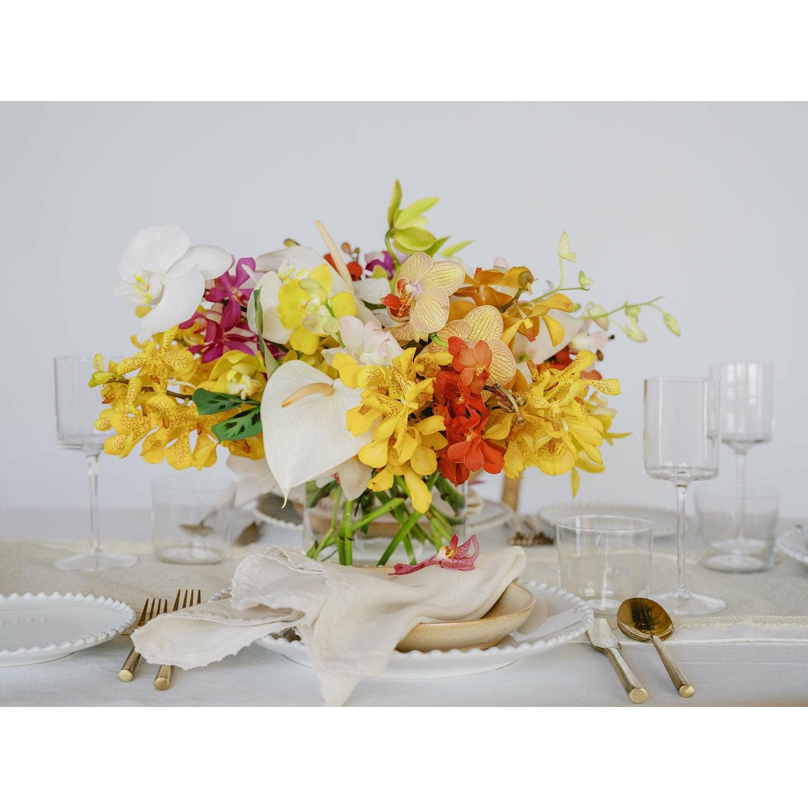 Tropical Orchids A la Carte Centerpiece - Green Fresh Florals + Plants