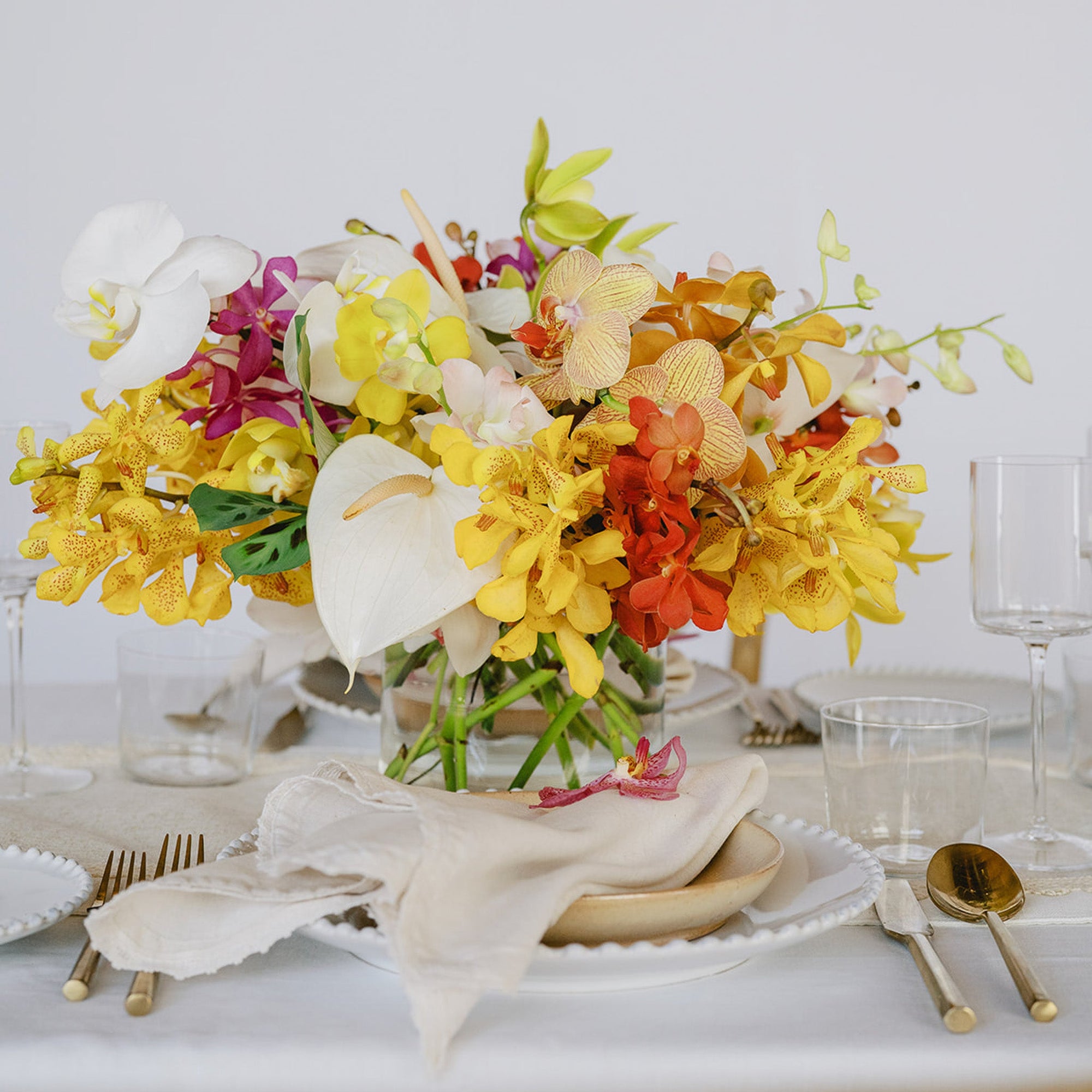 Tropical Orchids A la Carte Centerpiece - Green Fresh Florals + Plants