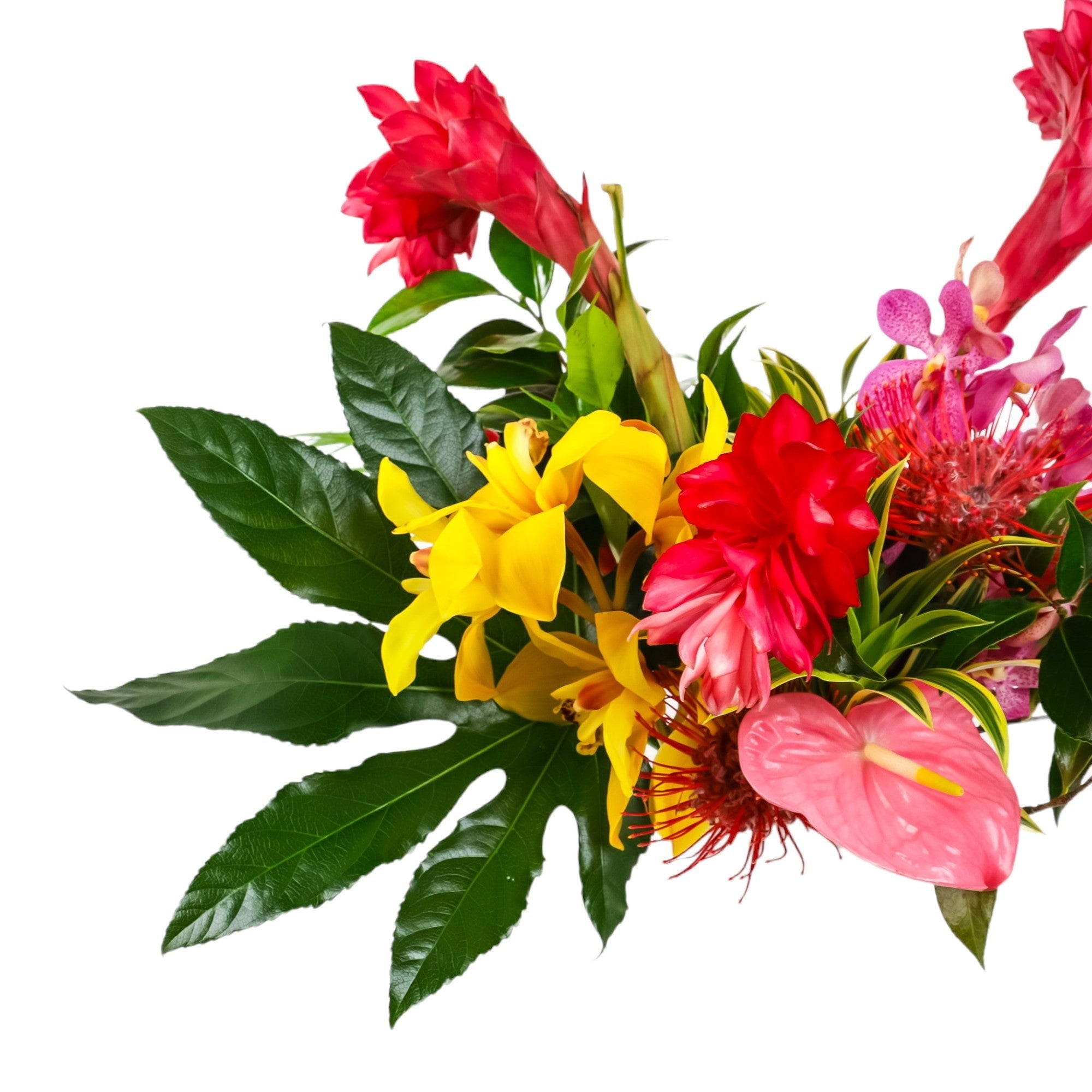 Tropical Paradise Designer Floral - Green Fresh Florals + Plants