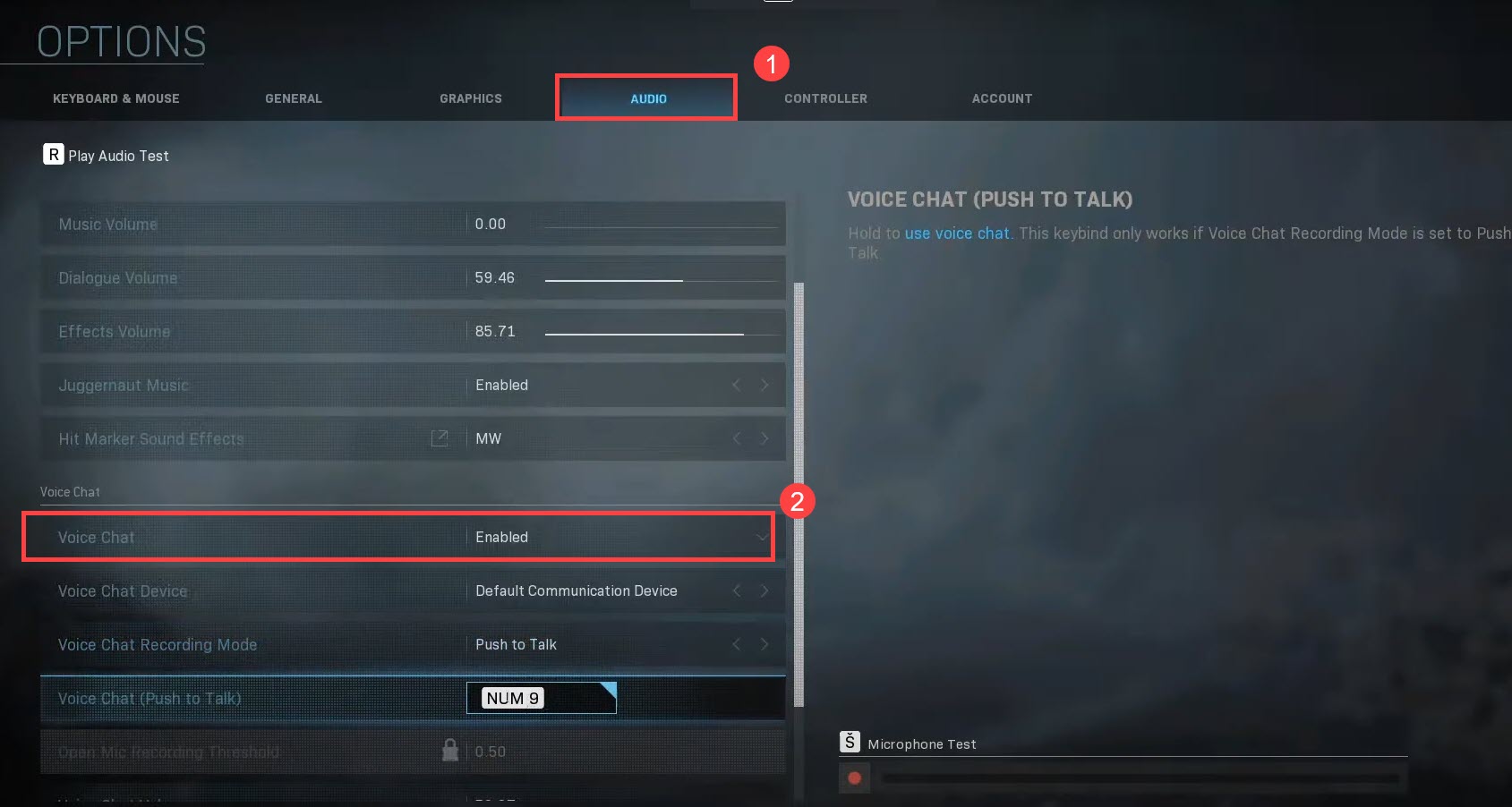 voice chat enabled