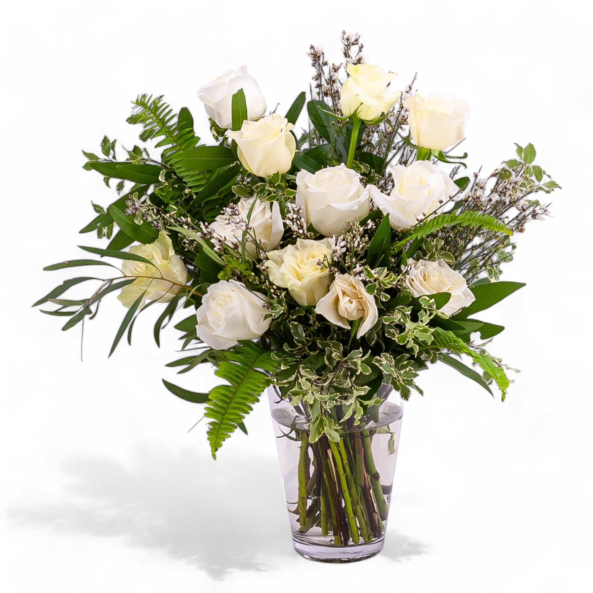 White Long - Stem Roses - Green Fresh Florals + Plants