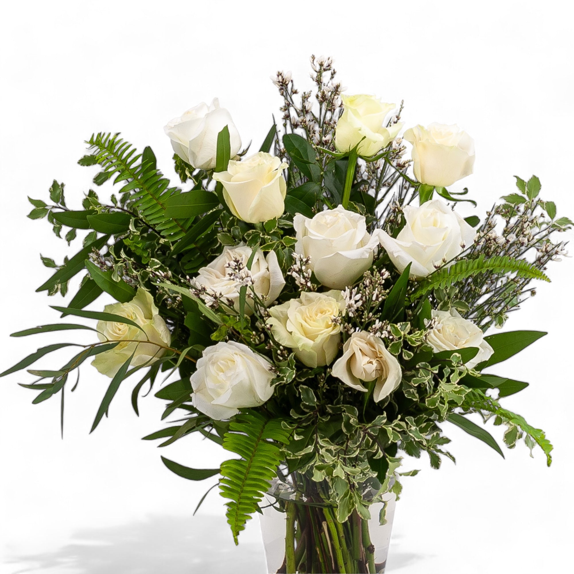 White Long - Stem Roses - Green Fresh Florals + Plants