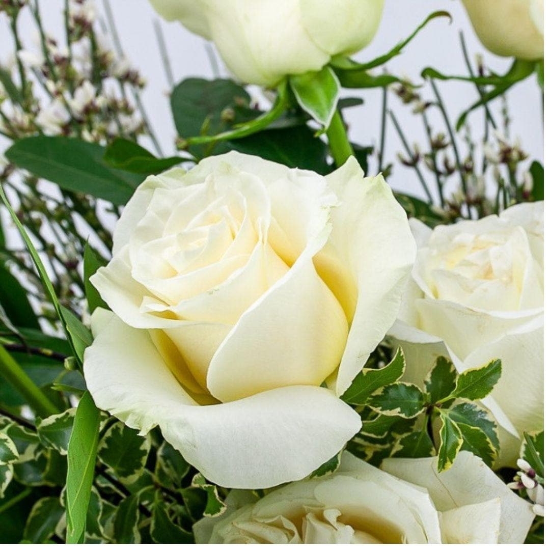 White Long-Stem Roses - Green Fresh Florals + Plants