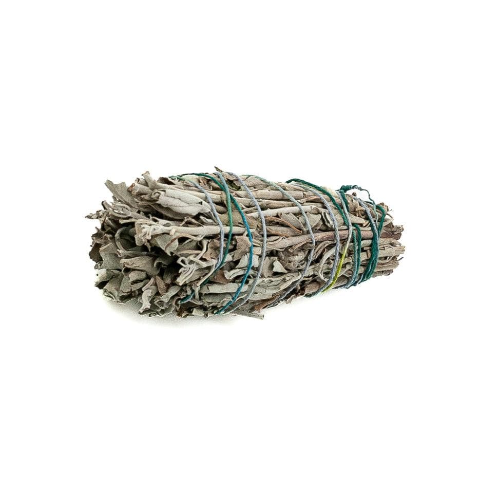 White Sage Bundle - Green Fresh Florals + Plants