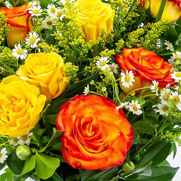 Yellow Ombre Long-Stem Roses - Green Fresh Florals + Plants