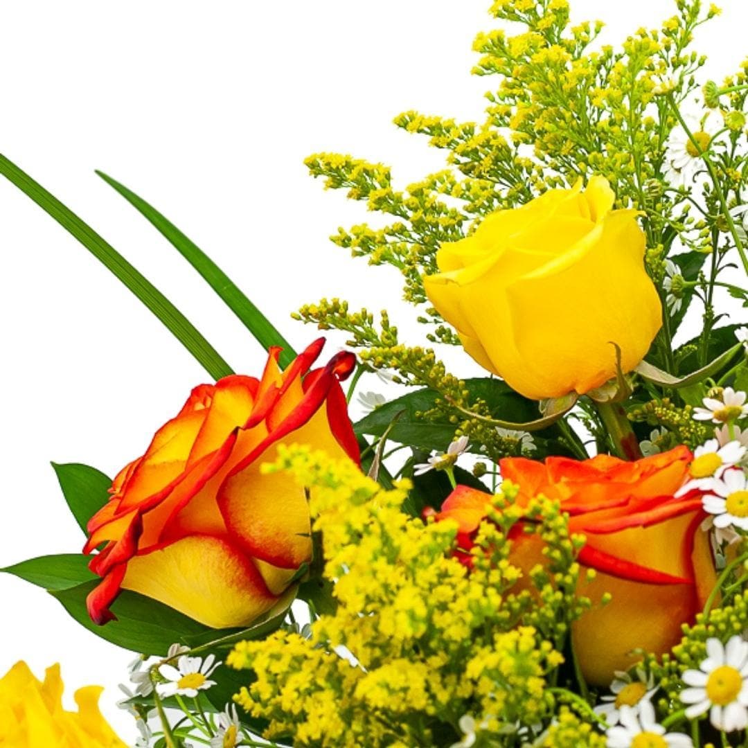 Yellow Ombre Long-Stem Roses - Green Fresh Florals + Plants