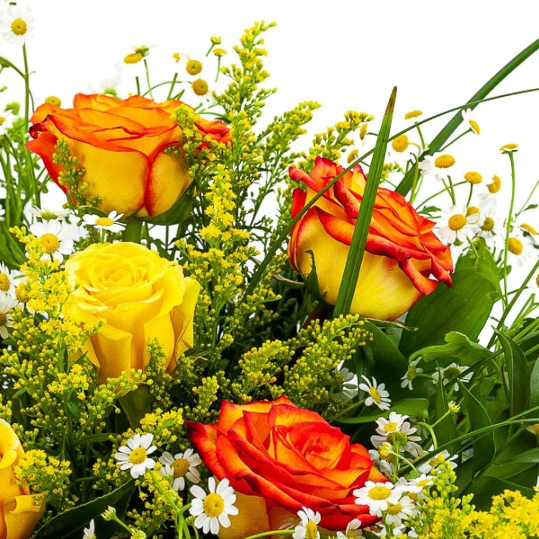 Yellow Ombre Long-Stem Roses - Green Fresh Florals + Plants